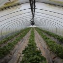 은실농장 이미지