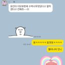황언니 펫살롱 | 유자언니 일상
