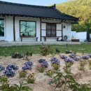 철이네 촌캉스 네이버블로그