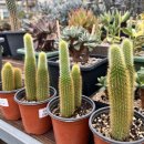 만악농장 이미지