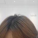 대전 지족동 미용실 염색 추천 &#39;헤이페리&#39; 내돈내산 후기☺️
