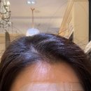 알렉산드르드파리 잠실 에비뉴엘점 이미지