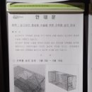 관정(인천광역시 서구청 경제에너지과) | 2022년)인천 서구 길고양이 중성화(TNR) 신청 및 후기