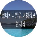 광신여행사