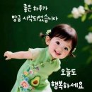 (주)목동현대자동차정비 | 알면 유익한 오늘 (주)송도부동산중개법인 종합 뉴스입니다
