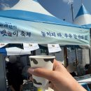 탑뽑기 | 화성 뱃놀이 축제 후기 플리마켓, 부스 이벤트, 동선까지 완벽 정리