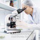 에스앤케이화장품
