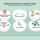 우마미(umami) 이미지