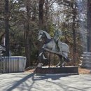 워너비 | 서울 근교 승마장 워너비 승마클럽 승마레슨 후기