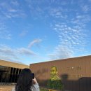 삼달신풍로 | (제주여행 12.16~12.19) 제주도 데이트 코스 추천, 고흐의정원 솔직후기｜AR체험·파충류·포토존까지