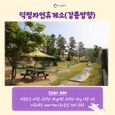 코코 반려견 호텔 이미지