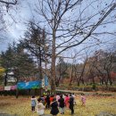 개나리어린이집 이미지