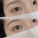 와이오브로우