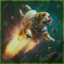 와우애견 이미지