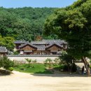 도산서원길(도산면) 이미지