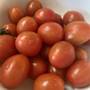 우연식품 이미지