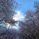 사천교회 이미지