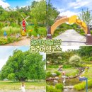은행마을로 | 원주 여행 코스 문막 동화마을 수목원 반계리 은행나무 드라이브