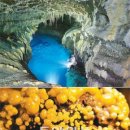 달리오름 이미지