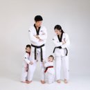 한국체대 진 태권도장 이미지