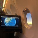 (주)회덕 | 벚꽃 피기 시작한 도쿄 일상 (도쿄이사 1~2주차)