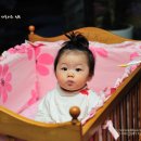 프로볼링센터