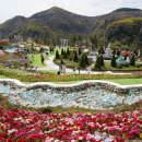 진흥꽃화원 이미지