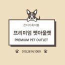 빛가람동물병원 이미지