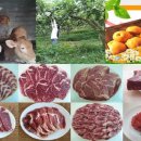 화탑영농조합법인 이미지