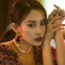 쁘띠컨시어지