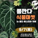 풀마켓 이미지