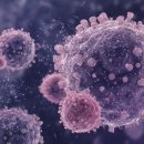 세종하이한방병원 이미지