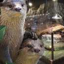 신비한동물원 이미지