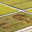 고향풍년 이미지