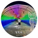 태안나비 | 태안 빛축제｜아이와 다녀온 솔직 후기 (입장료·포토존·아쉬운 점까지)