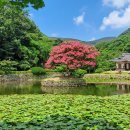 진도 운림산방 이미지