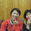 꽃차 소믈리에 3급 이미지