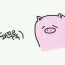 롤링크레페 이미지