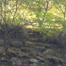 금화계곡주차장 이미지