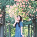 토브하우스 | 도유니스냅[부천 능소화 명소 추천] 중앙공원과 토브하우스커피 출사 후기 🌿