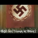 석방된 히틀러는 정치 노선을 바꾼다 이미지