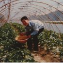 박정미농장 이미지