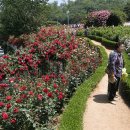 도당공원 이미지