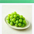 3730 | 3730원의 행복! 곰곰 실속 샤인머스켓, 탱글탱글 과즙 폭발하는 후기 인증