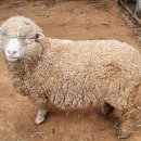 강화캠핑파크 이미지