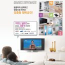 서정벨루스하임 이미지