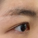 유일 | [서울 강동] 강동 속눈썹펌 아뜰리에유일 후기 | 천호 눈썹정리 추천