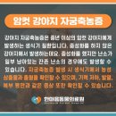 한마음종합동물병원 이미지