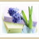 행복그자리 이미지