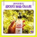 뭉치프렌즈 | 강아지코 후각 자극없는 강아지 보습 미스트 : [퓨어프렌즈]